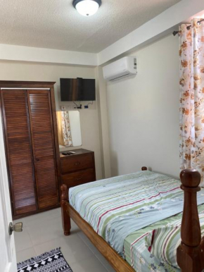 Beautiful Apartment in Roseau City